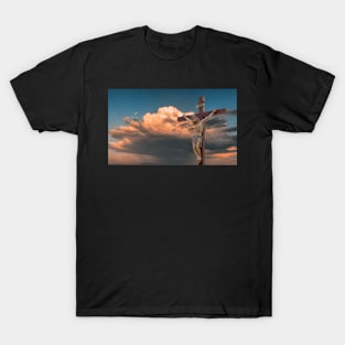 The Crucifixion T-Shirt